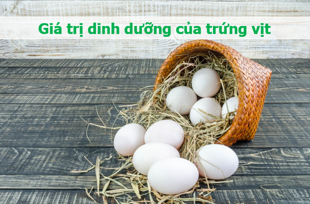 Loại trứng bổ hơn trứng gà rất quen thuộc với người Việt - 1 Loại trứng bổ hơn trứng gà rất quen thuộc với người Việt - 1