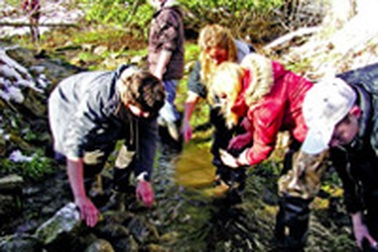 Mỹ: Có một thế hệ Q