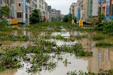 Trung Quốc: 63 người chết do lũ lụt hoành hành 