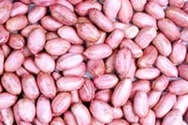 Công dụng chữa bệnh của hạt lạc 