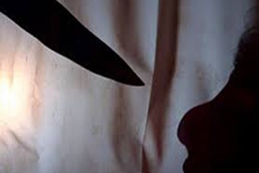 Mời hàng xóm sang nhà hát karaoke rồi sát hại dã man vì nghi ngờ "tòm tem" với vợ