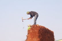 Dùng cưa máy, xà beng cắt tỉa 3 cây “quái thú”