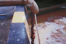 Vedan là thủ phạm chính gây ô nhiễm sông Thị Vải