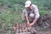 Phát hiện và hủy nổ an toàn 75 quả bom bi cùng hàng trăm đầu đạn