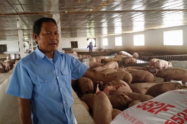 Trang trại bạc tỷ của người thương binh mang hàng chục vết thương chiến tranh