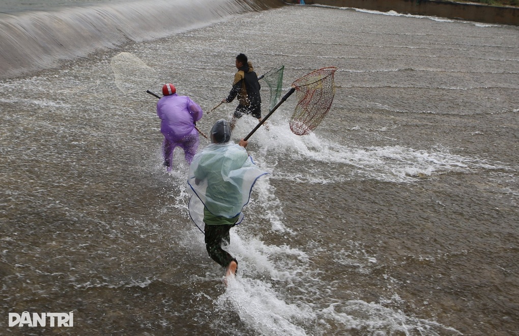 Hàng chục người liều mình lao xuống dòng nước lũ chảy xiết bắt cá - 6 Hàng chục người liều mình lao xuống dòng nước lũ chảy xiết bắt cá - 6