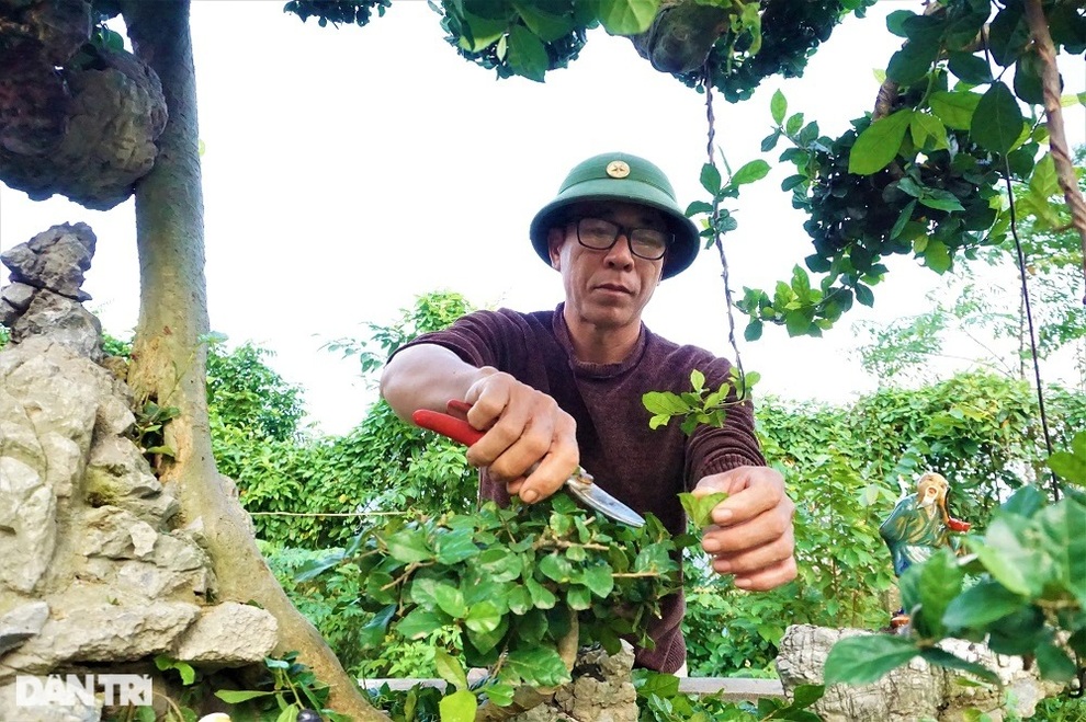 Người thổi hồn vào những gốc duối, ổi, me, bồ đề - 3 Người thổi hồn vào những gốc duối, ổi, me, bồ đề - 3