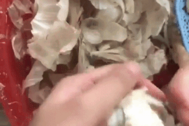 Mẹo bóc tỏi siêu nhanh thu hút hơn 22 triệu lượt xem