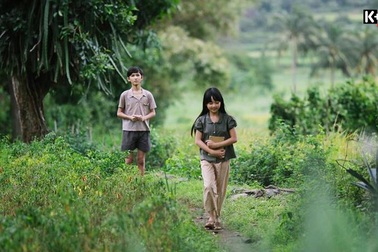 22 phim điện ảnh Việt Nam "đổ bộ" truyền hình tháng 7