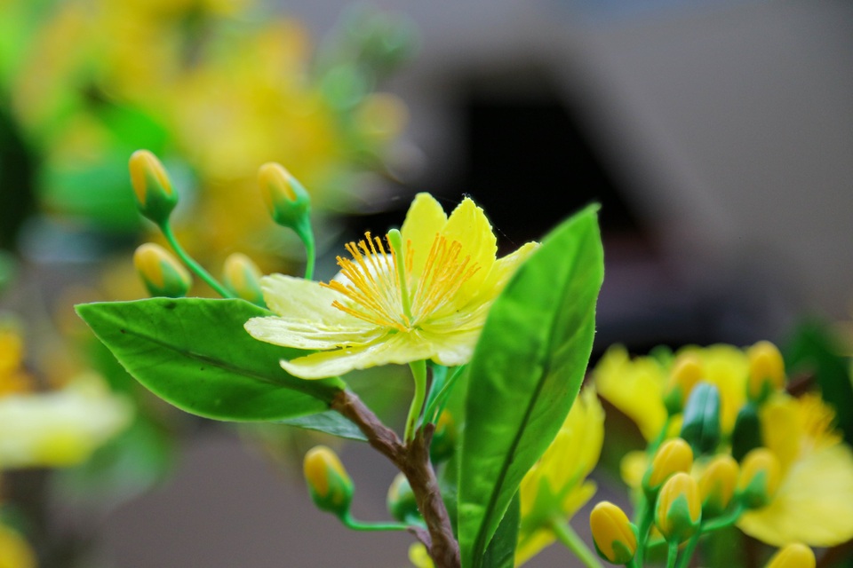 Nghề làm hoa từ đất sét giảm 50% thu nhập mùa Tết vì dịch Covid-19 - 6 Nghề làm hoa từ đất sét giảm 50% thu nhập mùa Tết vì dịch Covid-19 - 6