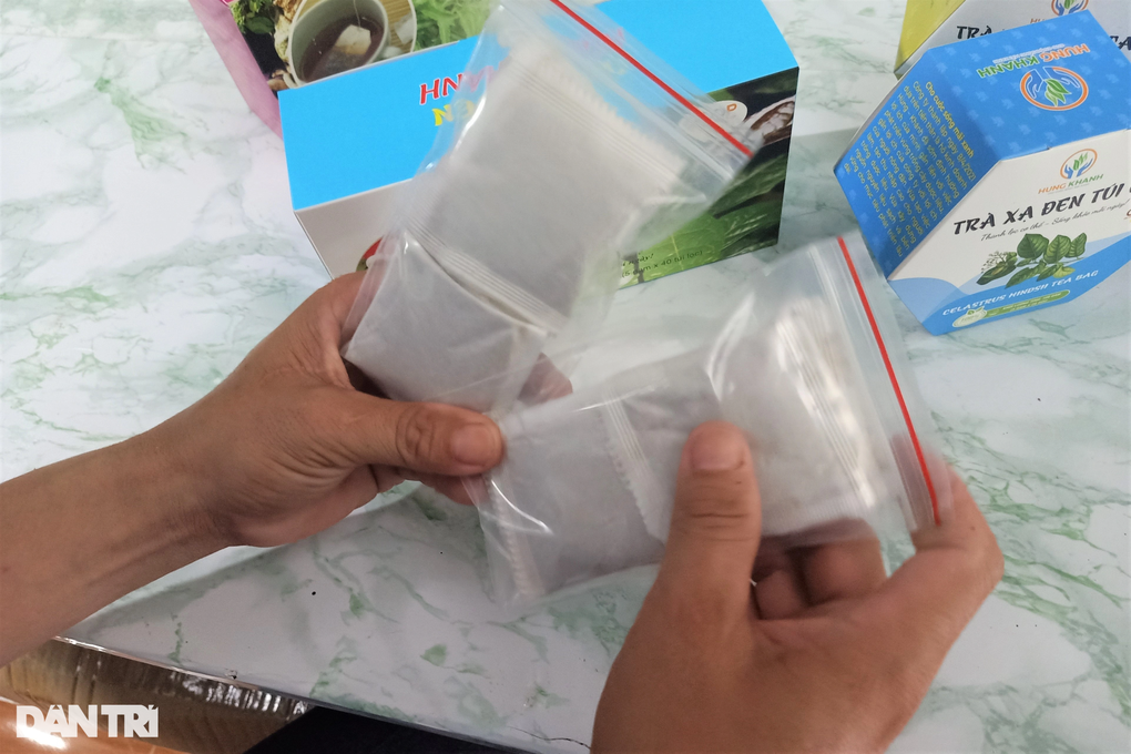 Cựu thầy giáo mang cây rừng từ Tây Bắc vào Cà Mau trồng cho lãi bất ngờ - 5 Cựu thầy giáo mang cây rừng từ Tây Bắc vào Cà Mau trồng cho lãi bất ngờ - 5