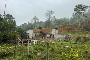 Thoát chết trong gang tấc, gia đình nghèo tuyệt vọng giữa đống đổ nát