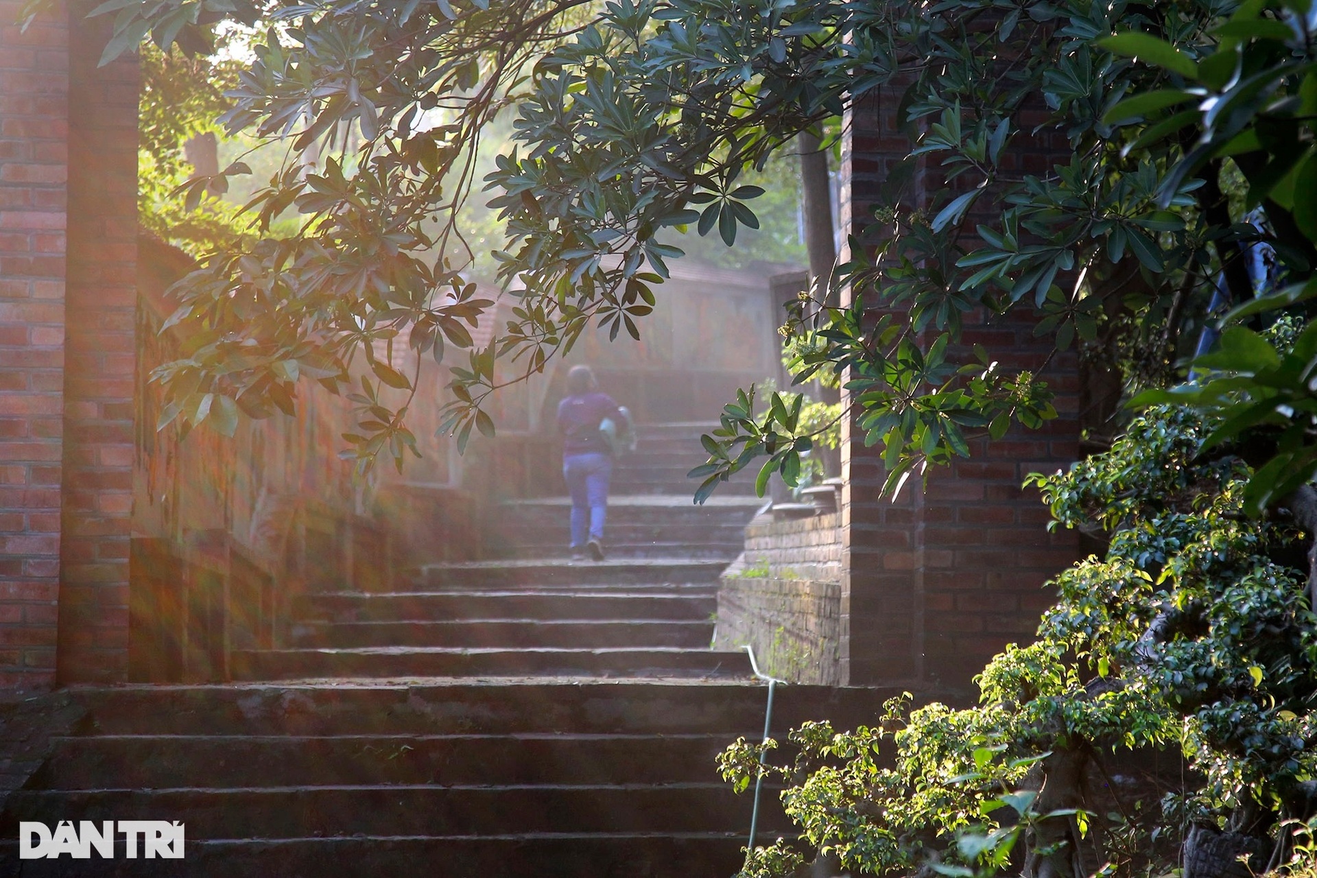 Hai bảo vật quốc gia độc bản nghìn năm tuổi chùa Phật Tích - 8