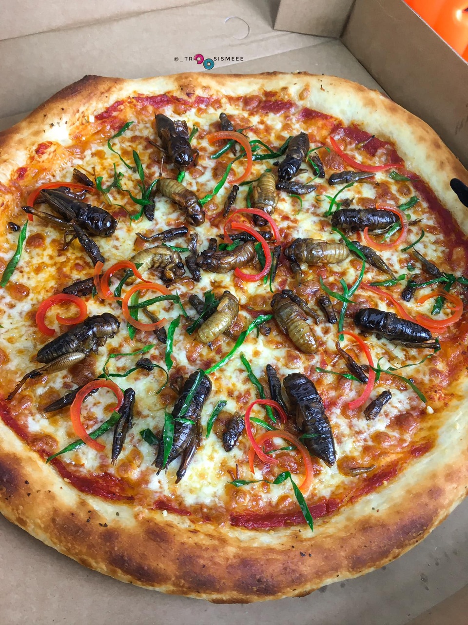 Toát mồ hôi nếm thử pizza lúc nhúc côn trùng ở Hà Nội - 5 Toát mồ hôi nếm thử pizza lúc nhúc côn trùng ở Hà Nội - 5