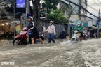 Nguy cơ sức khỏe khi lội trong dòng nước ngập ở TPHCM