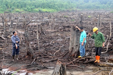 Van khóa bị phá hoại, hồ thủy lợi trơ đáy giữa mùa mưa