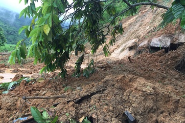 Ngủ trong lán trông gia súc, 2 vợ chồng bị núi lở đè tử vong