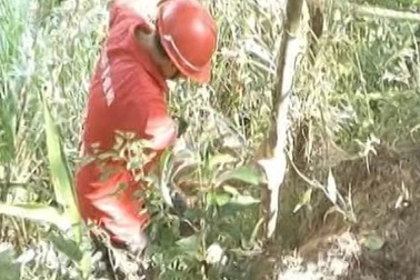 Trung Quốc: Bố tàn nhẫn ném con gái xuống vực