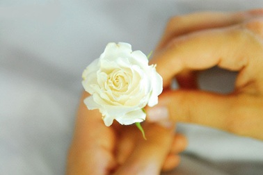 Những xao xuyến đa mang