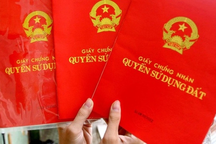 Đất không có giấy tờ trước 1/7/2014 sẽ được cấp sổ đỏ