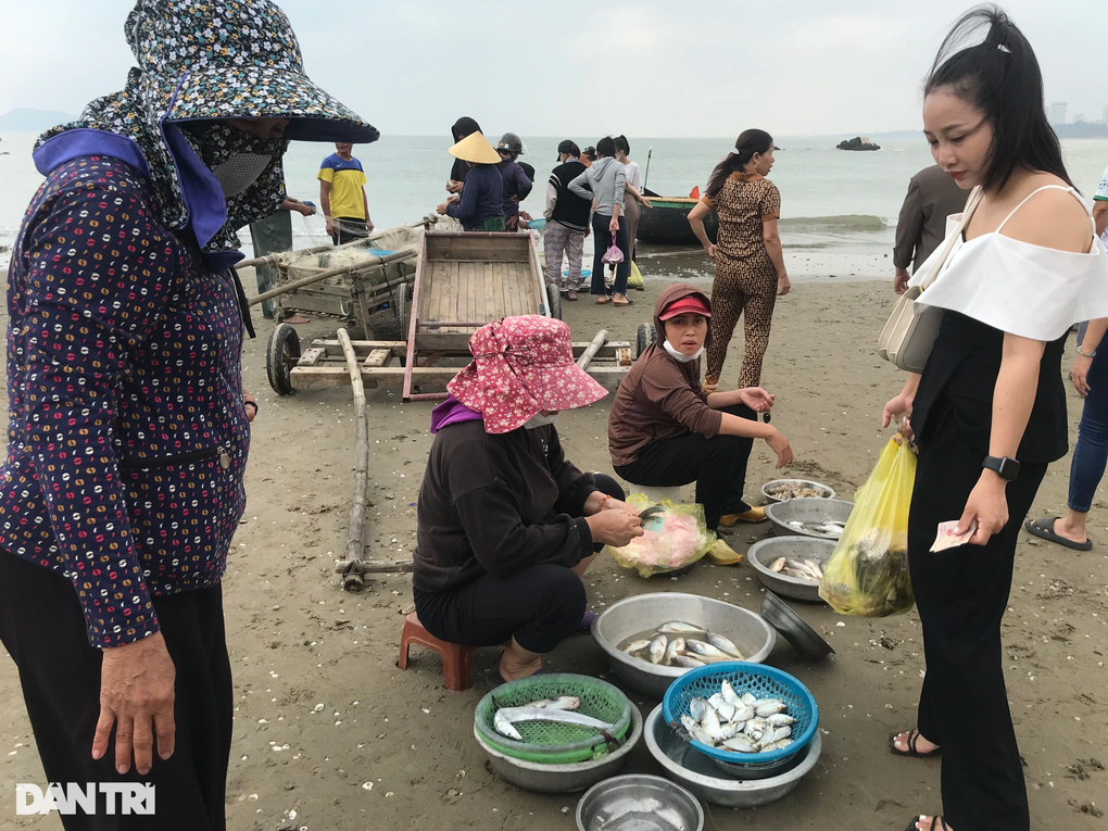 Hải sản bán theo mớ, khách ra tận bãi biển tranh nhau mua - 5 Hải sản bán theo mớ, khách ra tận bãi biển tranh nhau mua - 5