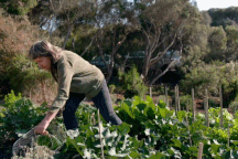 Người phụ nữ dành 35 năm "điêu khắc" cảnh quan, làm vườn rau trái sạch