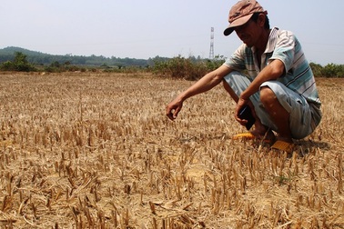 Những “cánh đồng chết” chờ ngày hồi sinh