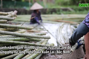 Những phụ nữ quanh năm dầm mình mình trong nước