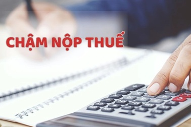 Hướng dẫn tra cứu những khoản thuế quên nộp hoặc nộp thừa để nhận lại