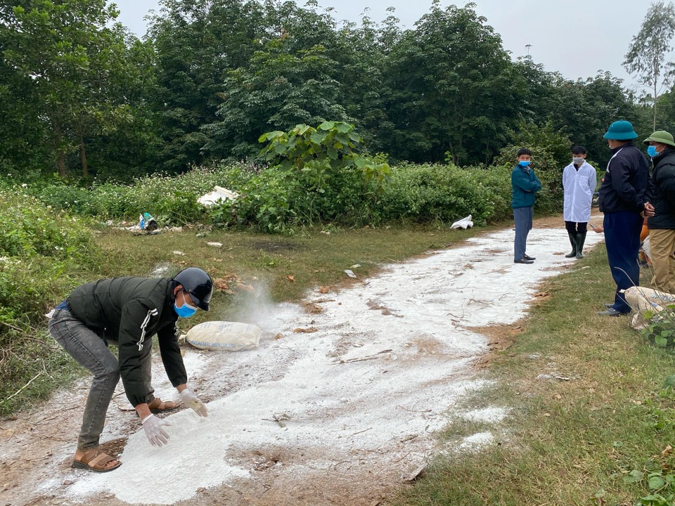 Đàn lợn cả trăm con nghi nhiễm bệnh bị vứt bỏ lăn lóc bên đường - 4 Đàn lợn cả trăm con nghi nhiễm bệnh bị vứt bỏ lăn lóc bên đường - 4