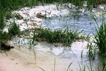 Doanh nghiệp chế tác đá “giết” lúa nông dân