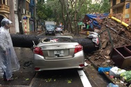 Hà Nội: Cây cổ thụ bật gốc sau mưa lớn, đè xế hộp bẹp dúm