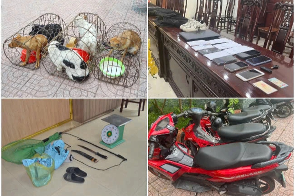 Bắt giữ ổ nhóm trộm hơn 2 tấn chó, dùng hung khí chống trả khi bị truy bắt - 1 Bắt giữ ổ nhóm trộm hơn 2 tấn chó, dùng hung khí chống trả khi bị truy bắt - 1