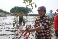 Việt Nam có thể bị thâm hụt 3,6 tỷ USD GDP vì biến đổi khí hậu