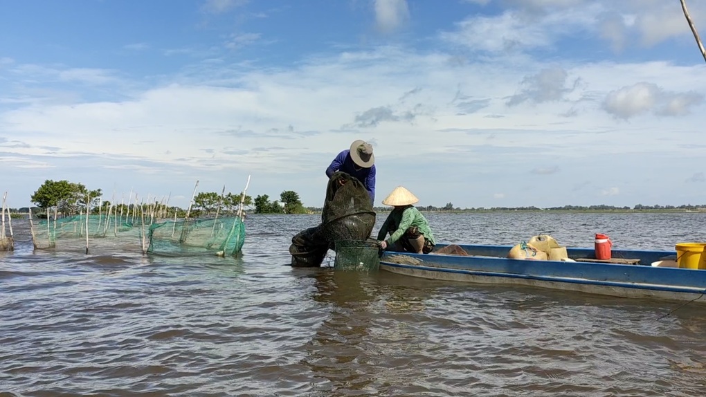 Lũ tràn đồng, người dân đầu nguồn nước vào mùa xúc lươn, bắt cá đồng - 2 Lũ tràn đồng, người dân đầu nguồn nước vào mùa xúc lươn, bắt cá đồng - 2