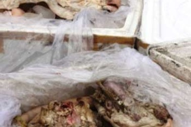 Tẩy trắng thịt, nội tạng thối rồi đưa thẳng vào quán nhậu