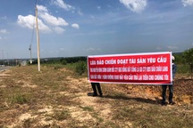 Bắt giám đốc công ty bất động sản hoạt động theo kiểu “Alibaba”