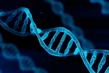 DNA rác có thể giúp con người dập tắt ký ức về nỗi sợ hãi