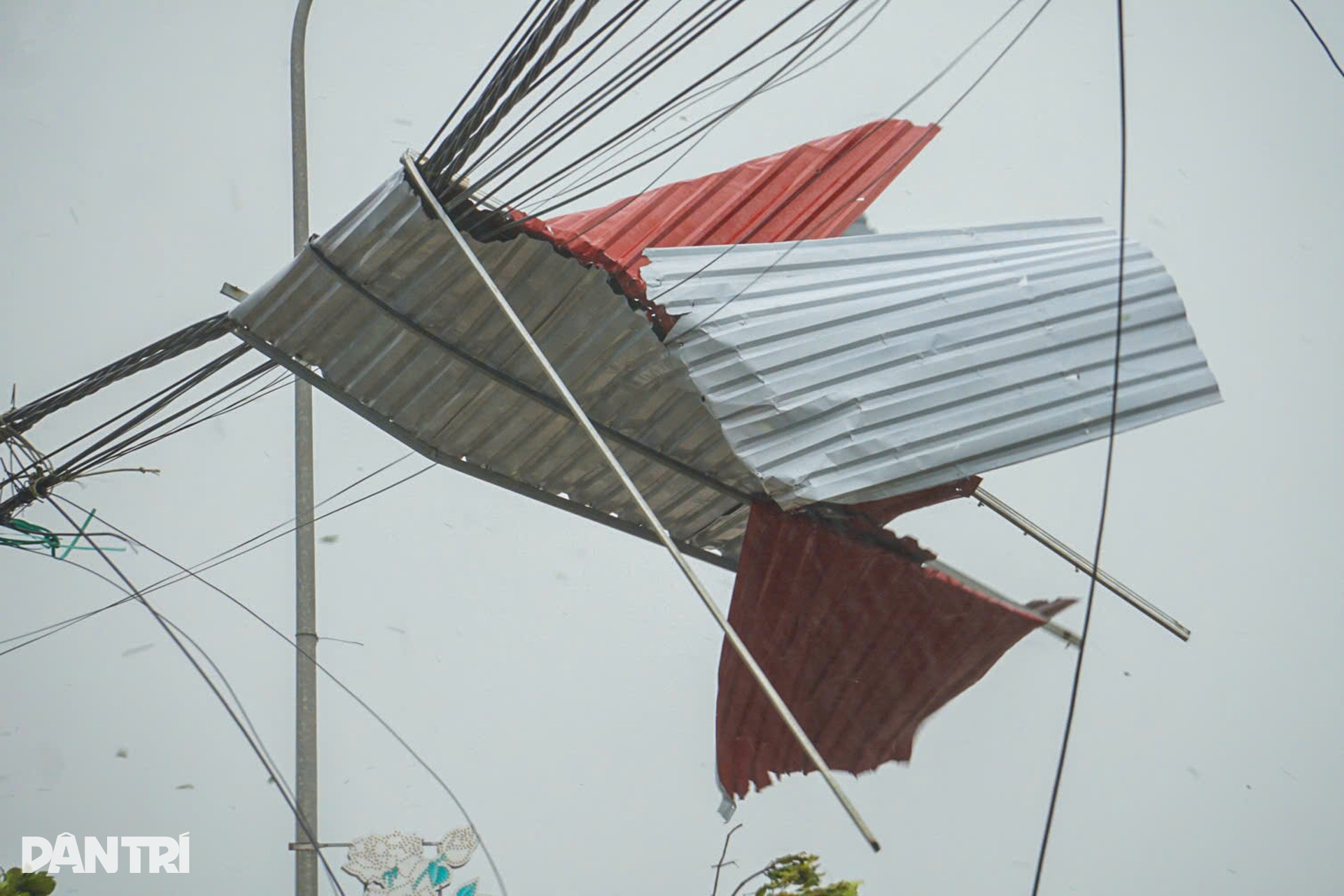 Nghệ An, Hà Tĩnh oằn mình chống bão Kajiki: Cây đổ, nhà tốc mái tứ tung - 13 Nghệ An, Hà Tĩnh oằn mình chống bão Kajiki: Cây đổ, nhà tốc mái tứ tung - 13