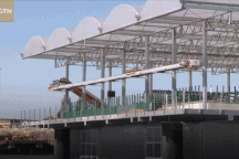 Mục sở thị trang trại bò sữa nổi trên biển, mỗi ngày sản xuất 800 lít sữa