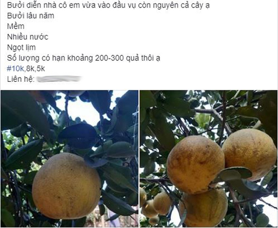 Ẩn họa đáng sợ món chân gà thơm lừng vỉa hè ngày đông về - 7 Ẩn họa đáng sợ món chân gà thơm lừng vỉa hè ngày đông về - 7
