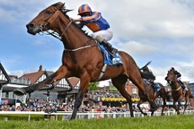 Hà Nội lấy ý kiến về quy hoạch trường đua ngựa ở Sóc Sơn