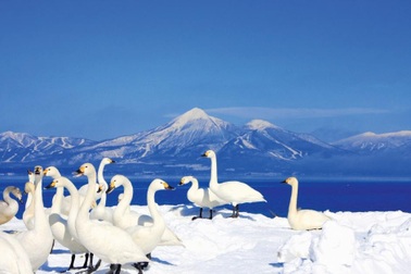 Các hoạt động ngoài trời mùa đông ở Fukushima