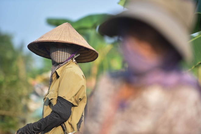 Câu con lộc trời cho: nông dân Hải Dương kiếm nửa triệu đồng mỗi ngày - 10 Câu con lộc trời cho: nông dân Hải Dương kiếm nửa triệu đồng mỗi ngày - 10