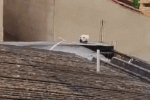 Clip "đánh lừa thị giác" đầy hài hước khiến dân mạng cười nghiêng ngả