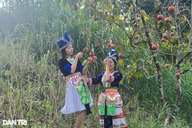 Đời sống bà con vùng dân tộc thiểu số Nghệ An ổn định, khởi sắc rõ rệt