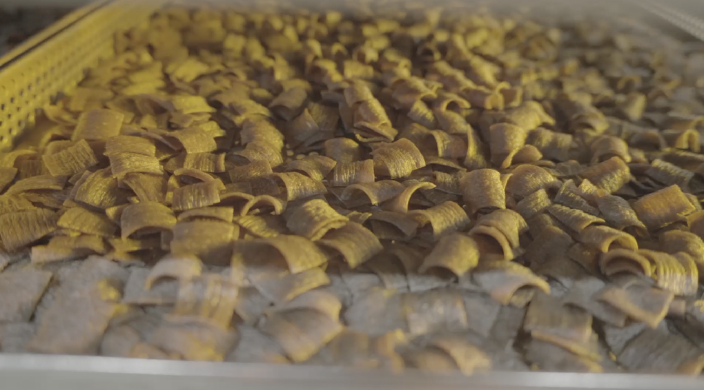 ইনস্ট্যান্ট নুডুলসে ক্রিকেট প্রোটিন: রেক রেকের নতুন দৃষ্টিভঙ্গি - ৩ Đạm dế trong mì gói: Tầm nhìn mới của Rec Rec - 3