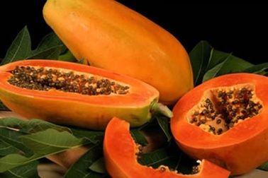 Công dụng làm đẹp và bảo vệ sức khỏe tuyệt vời từ trái đu đủ