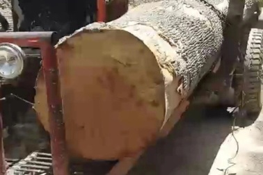 Hàng chục đối tượng hung hãn dùng hung khí bao vây cướp gỗ tang vật