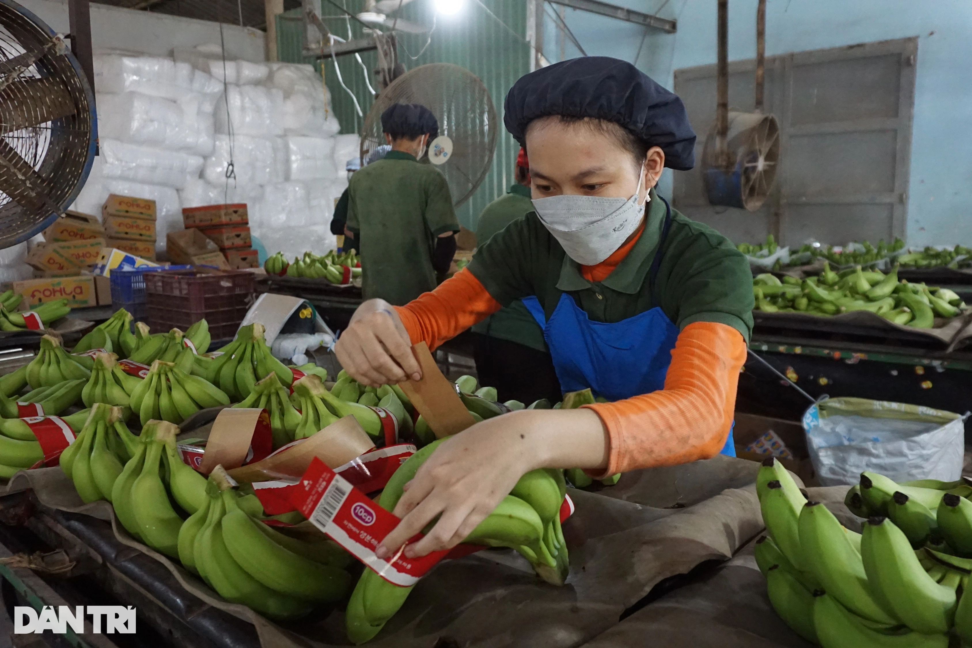 Lão nông kể chuyện ăn đất để có gia sản triệu đô - 6 Lão nông kể chuyện ăn đất để có gia sản triệu đô - 6